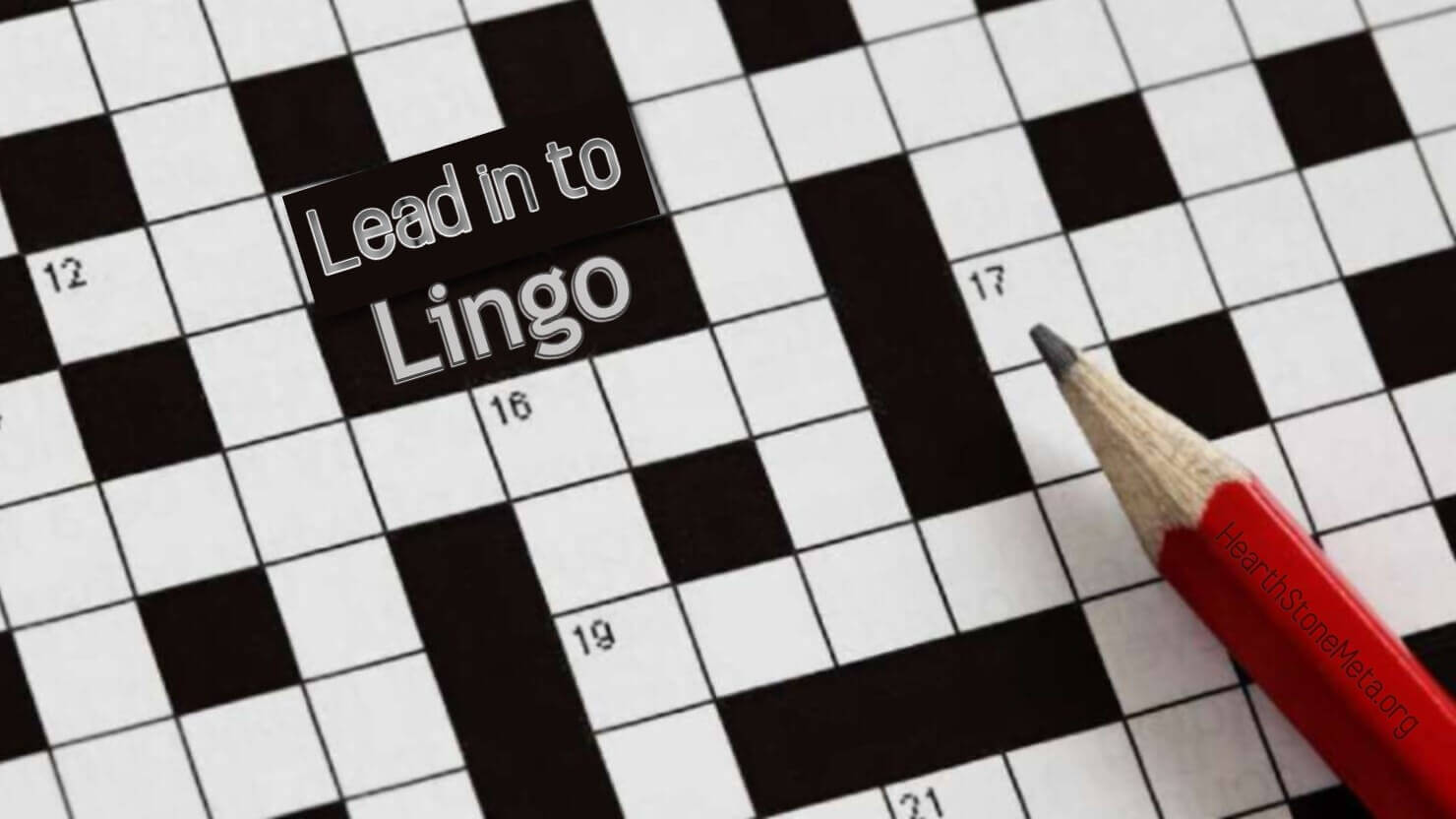 What is Lead in to Lingo?