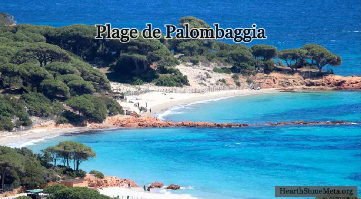 Where is Plage de Palombaggia Located