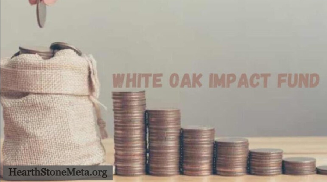 Why Investors Are Choosing the White Oak Impact Fund