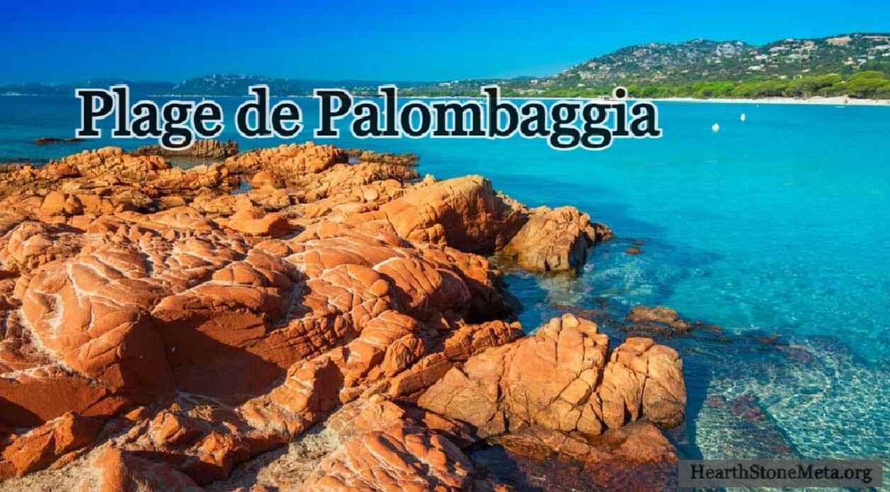 Why Visit Plage de Palombaggia